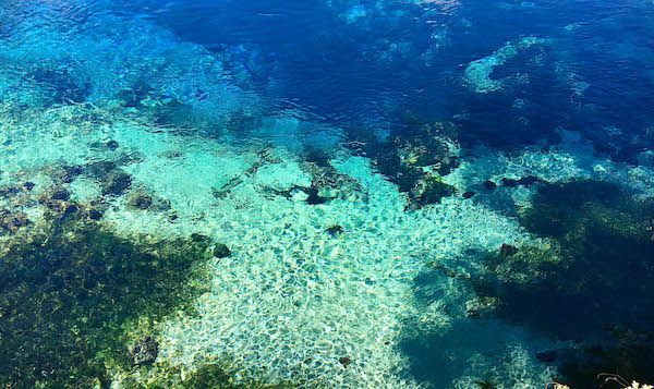 An aerial view of a coral reef in the ocean.