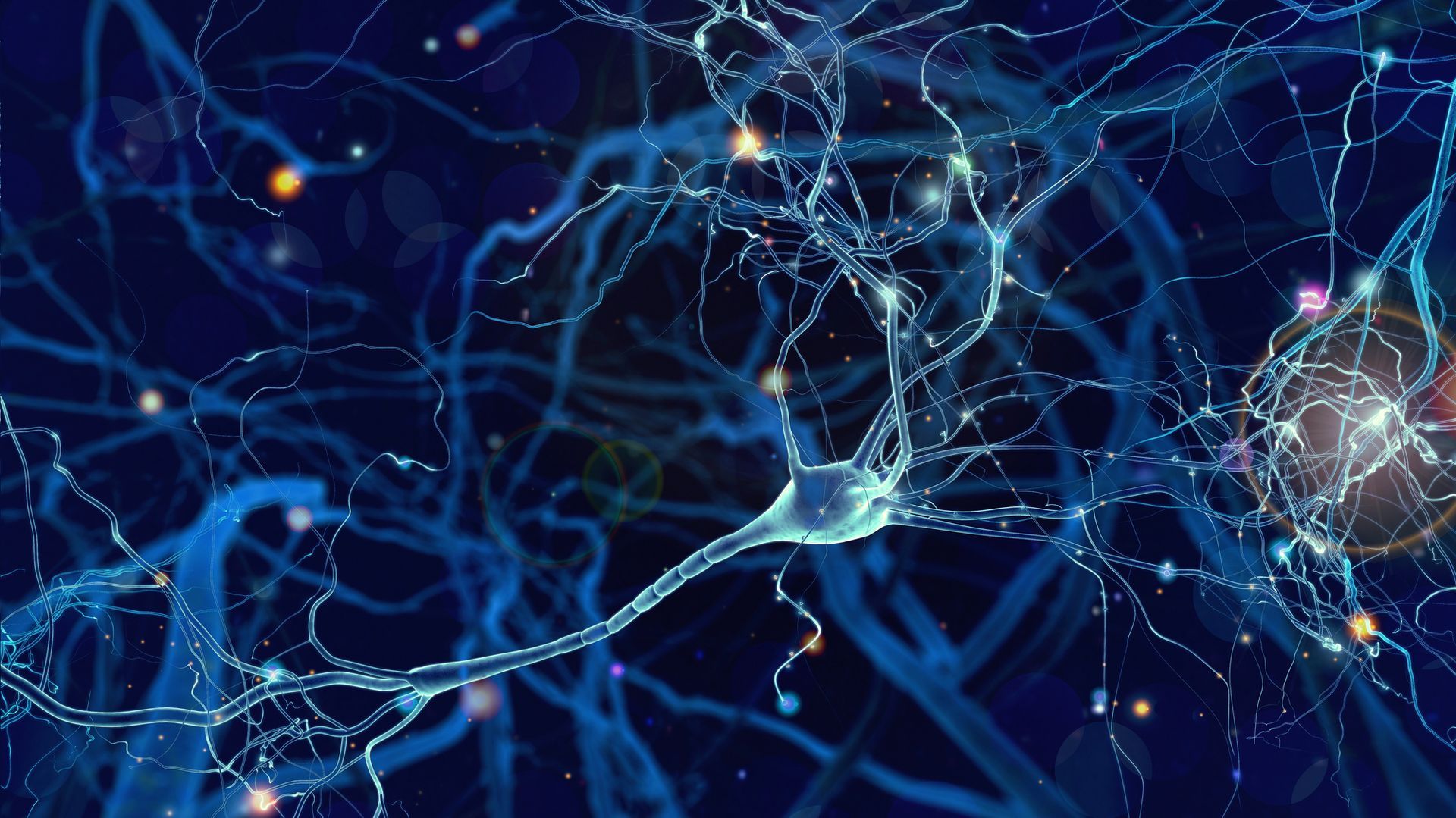 A close-up of a glowing neural network with interconnected blue fibers and bright nodes against a dark background.