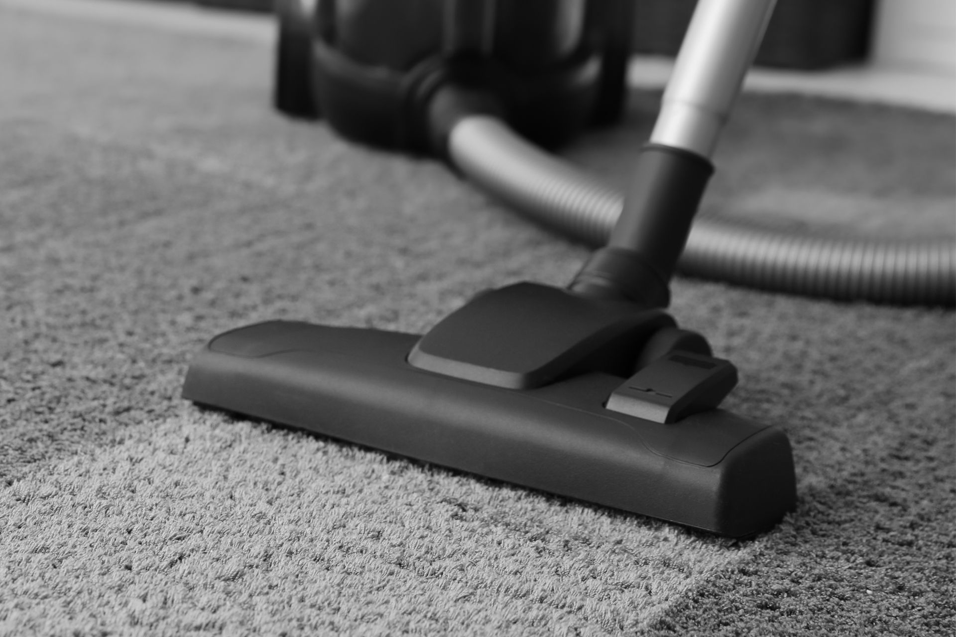 Vacuum cleaner head on a textured, light-colored carpet, with the hose and body in the background.