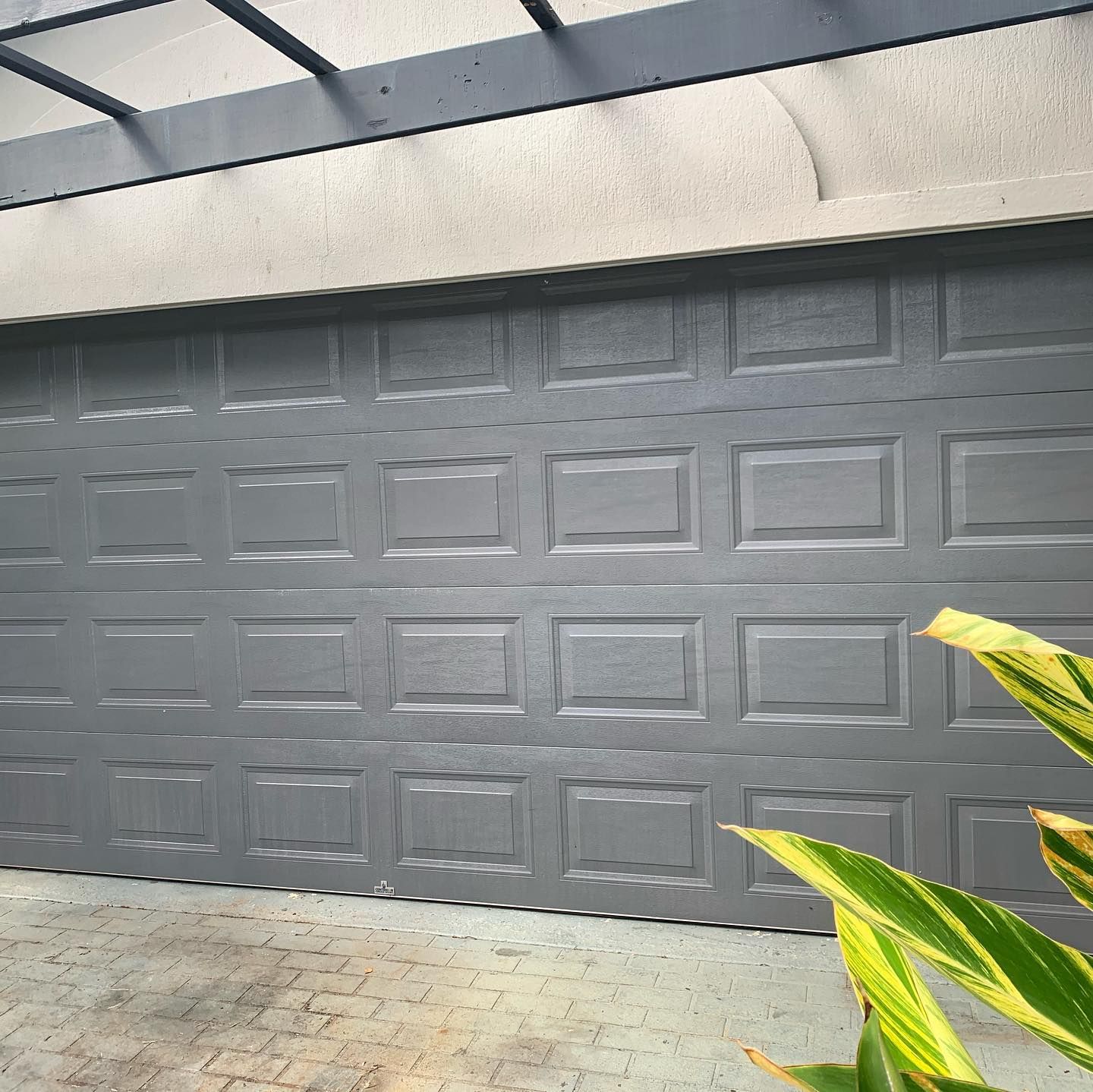 A close up of a gray garage door with a plant in front of it.