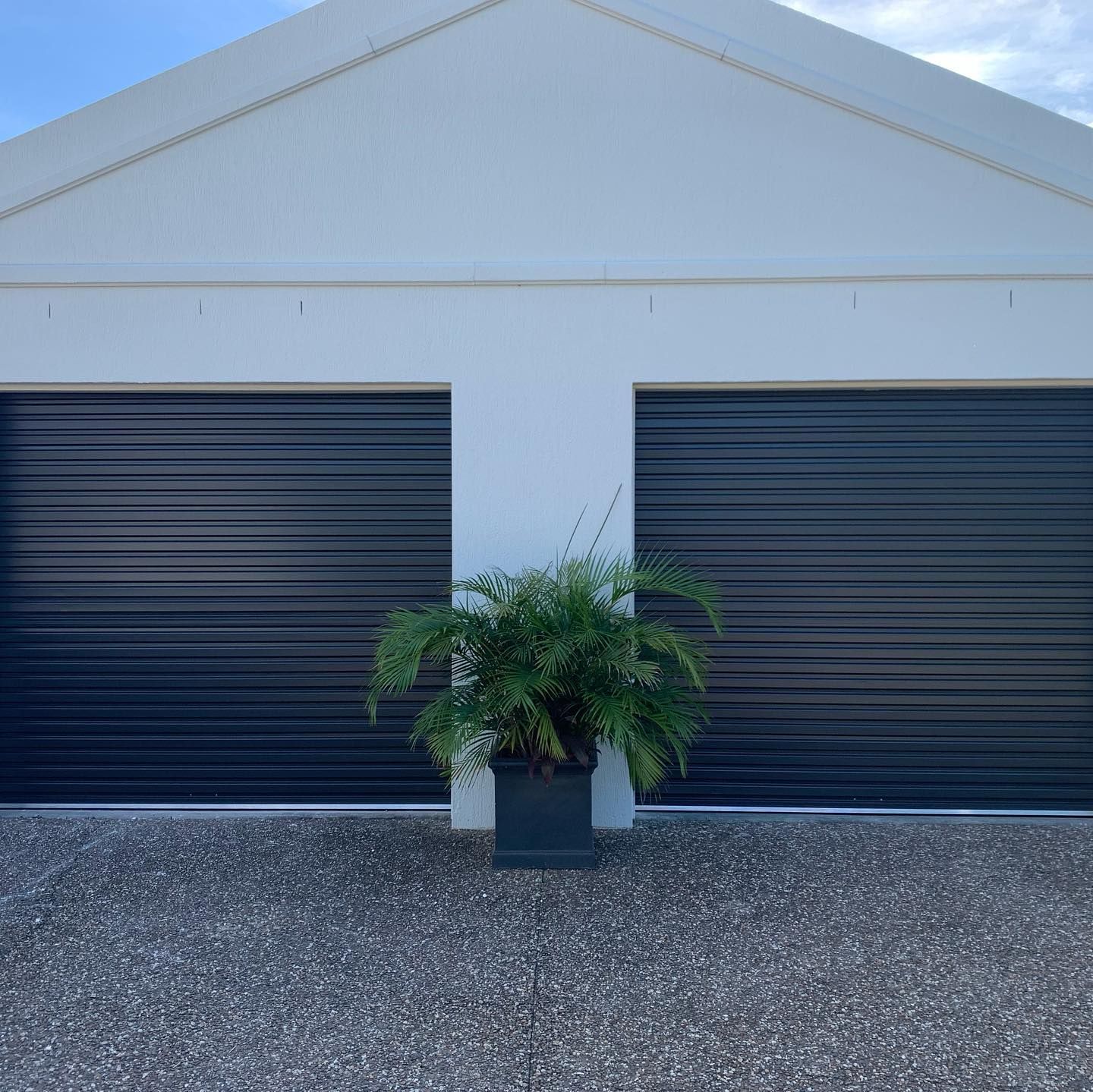 A black garage door with a potted plant in front of it