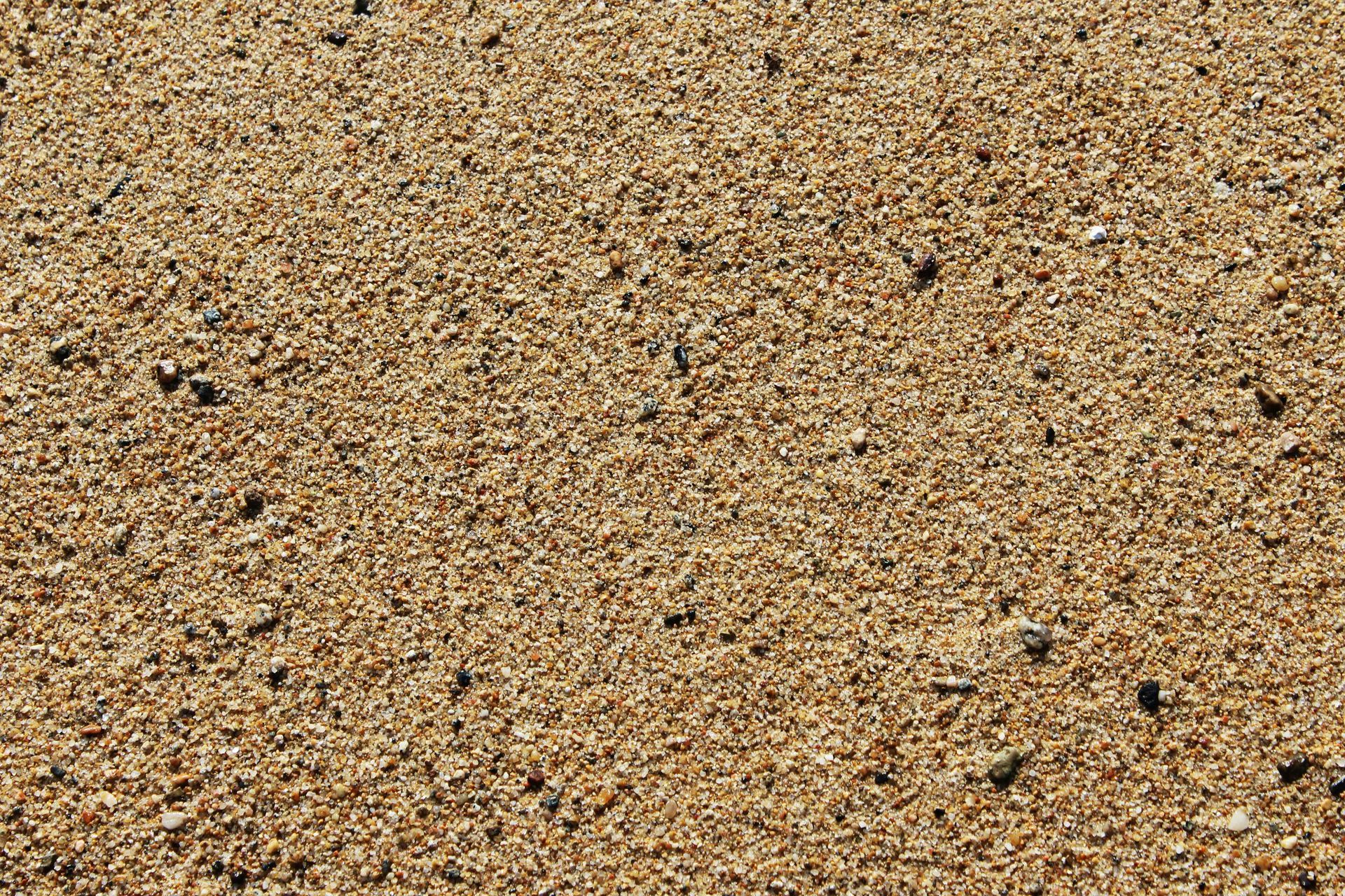 Close-up of beige sand with tiny dark specks, covering the entire surface.