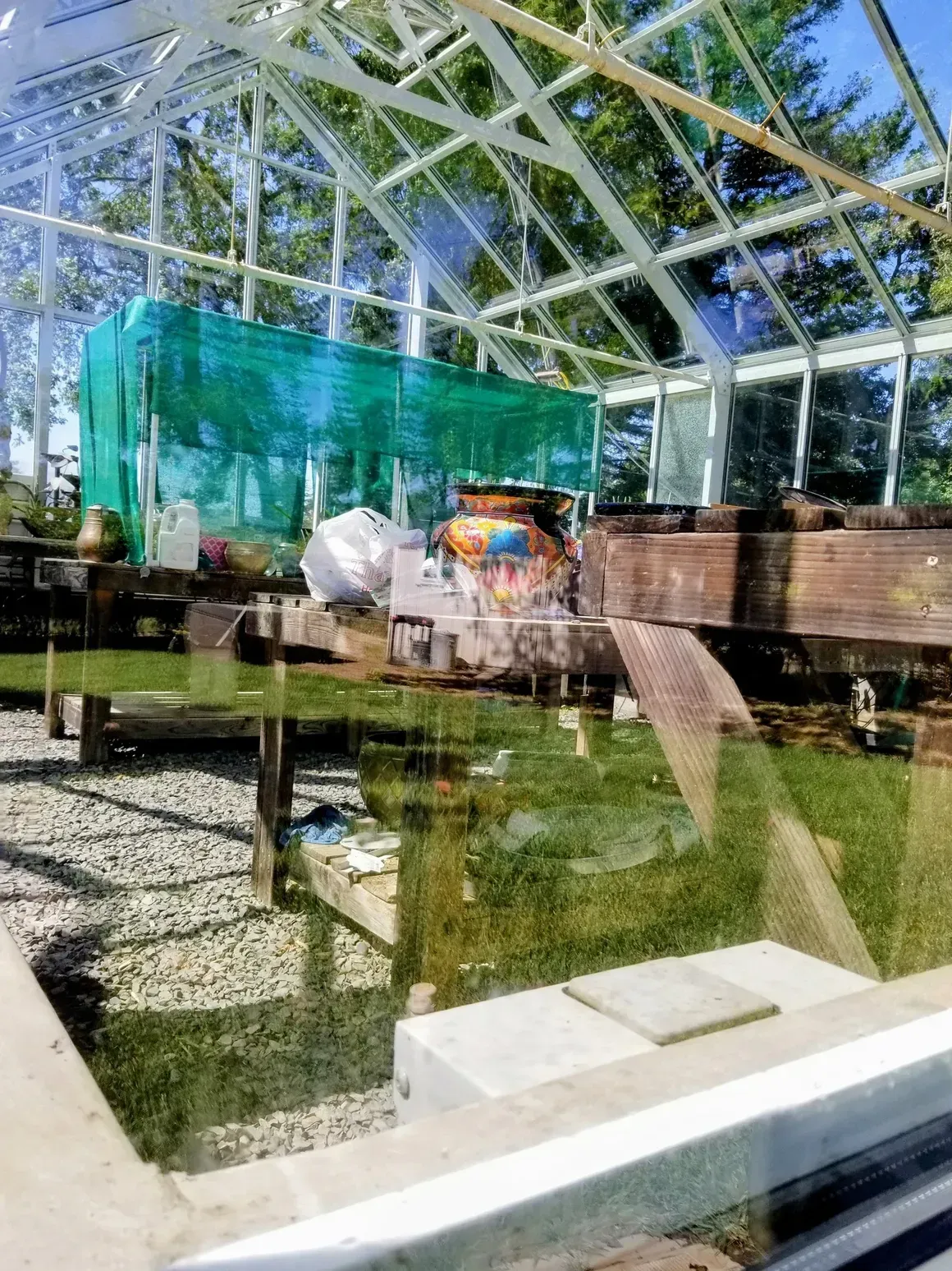 Greenhouse interior with wooden tables, a green net structure, and reflections in a glass pane.