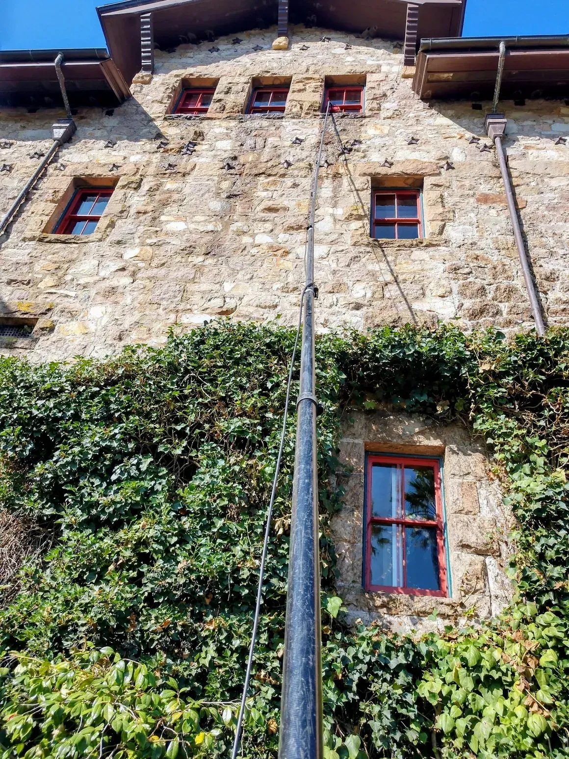 Tall stone building with red-framed windows; long black pole reaching toward the roof; ivy covering the lower half.