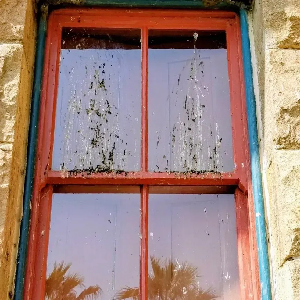 Red-framed window with heavy bird droppings. Blue trim. Stone building exterior.