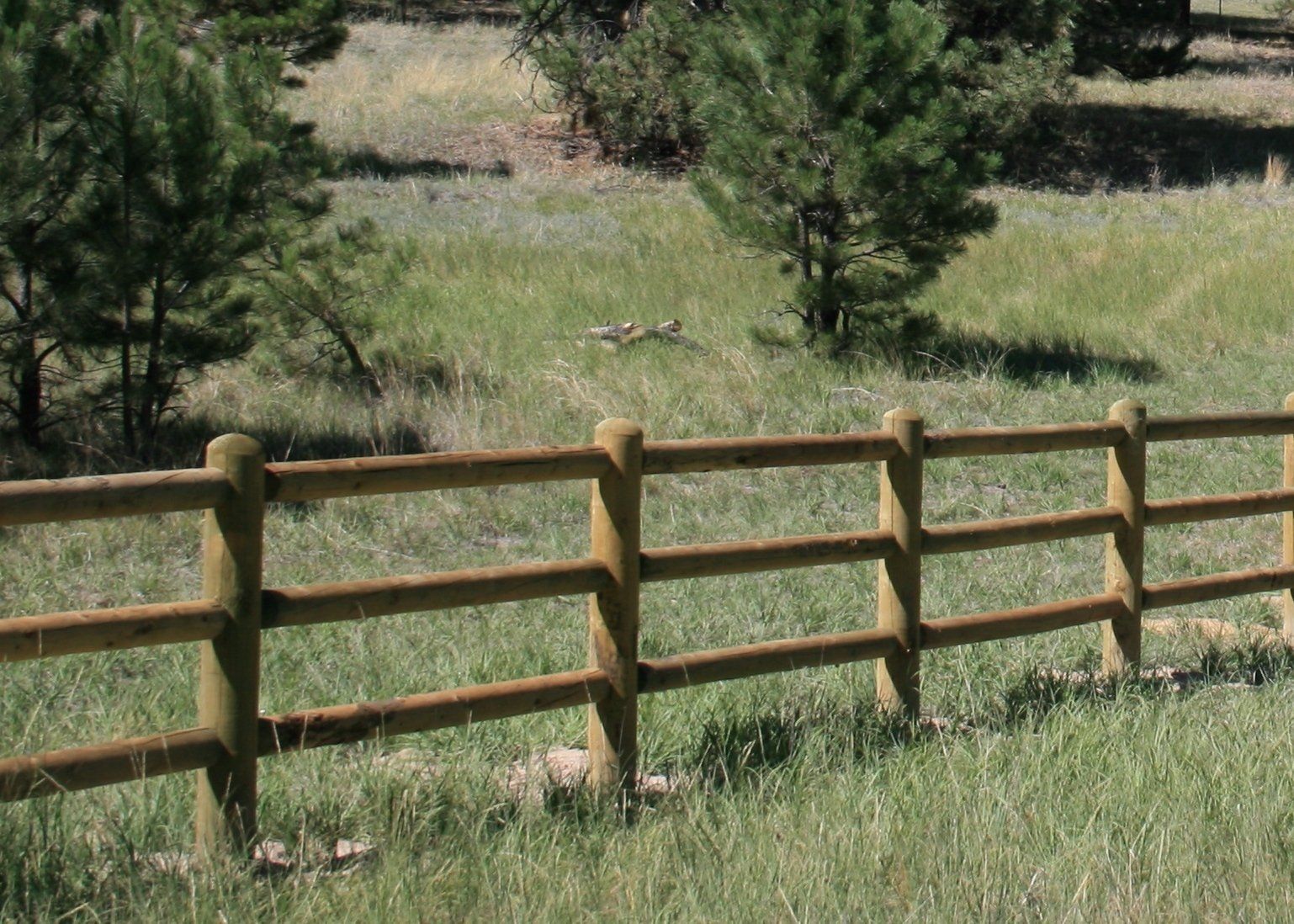 Wood Posts and Fence — Elizabeth, CO — Estate Fence Supply