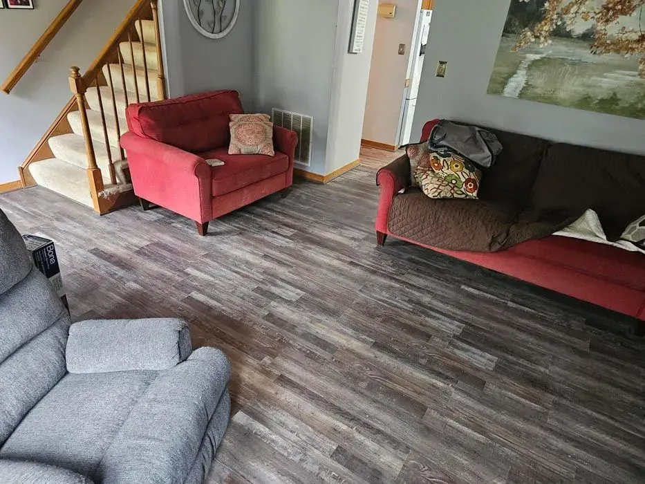 Living room with red chairs, brown sofa, and wood-look flooring.