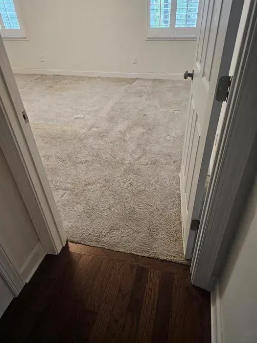 Doorway into a room with beige carpet and a dark wood floor. Light enters through windows.