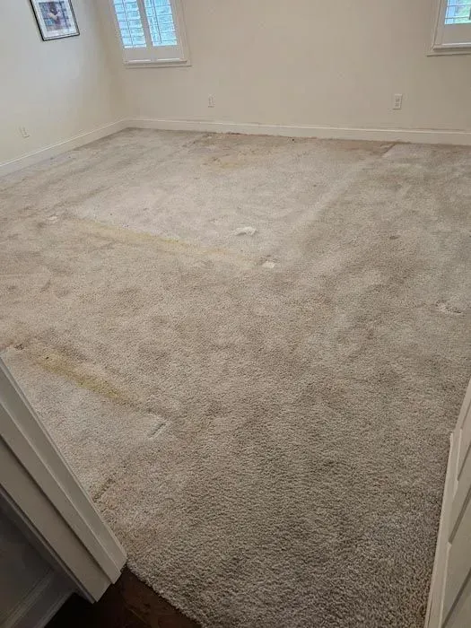 Room with stained, light-colored carpet, white walls, and a window with blinds.