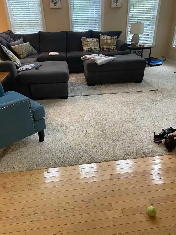 Living room with gray sectional sofa, blue chair, and light-colored carpet over hardwood floors.