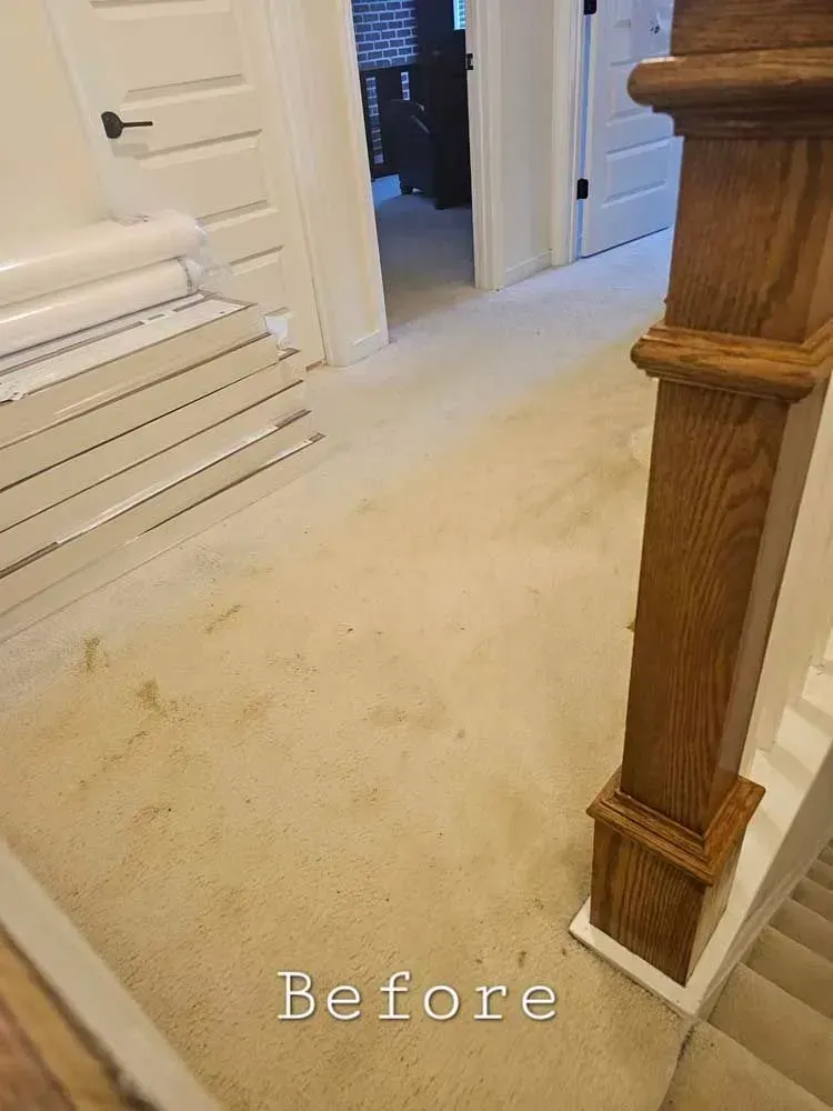 Dirty carpeted hallway with a wooden banister. Rolls of paper stacked on the left.
