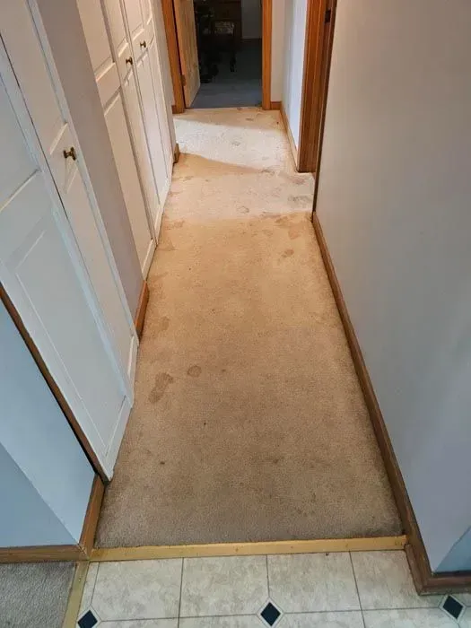 A hallway with stained beige carpet, white cabinets on the left, and a tile floor at the entrance.