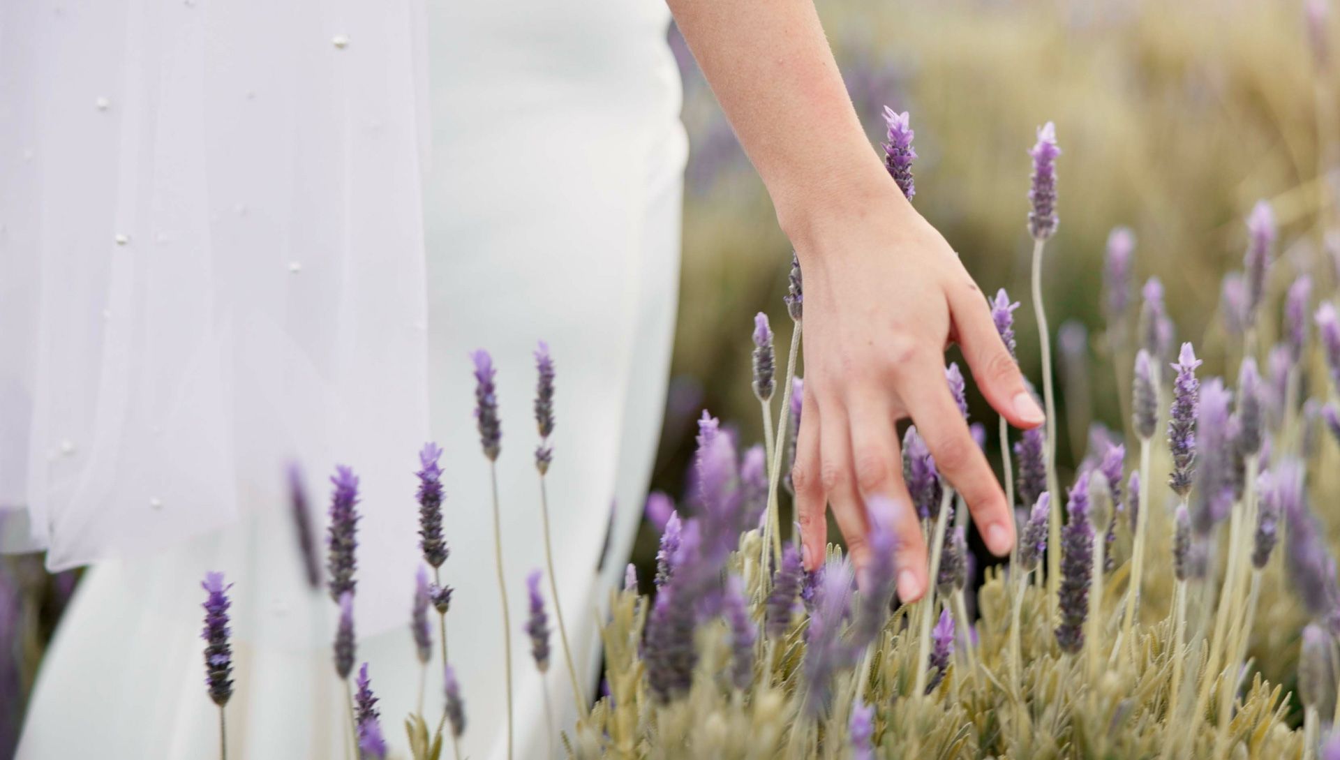 A woman in a white dress is touching purple flowers in a field.