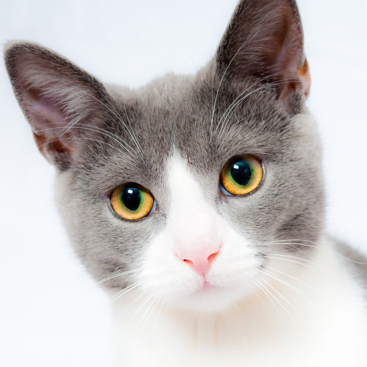 A woman wearing a necklace and earrings is smiling for the camera.