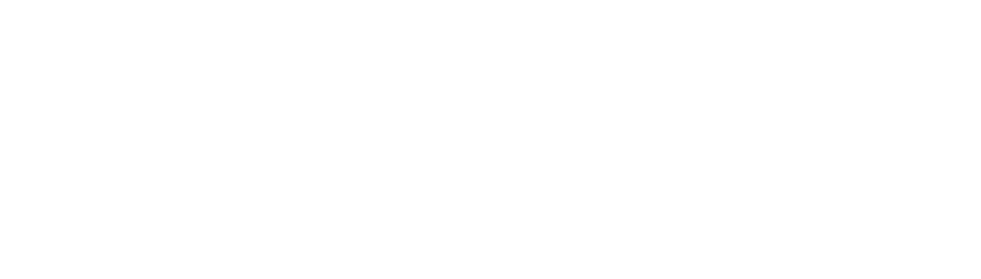 Longhorns Foundation Solutions
