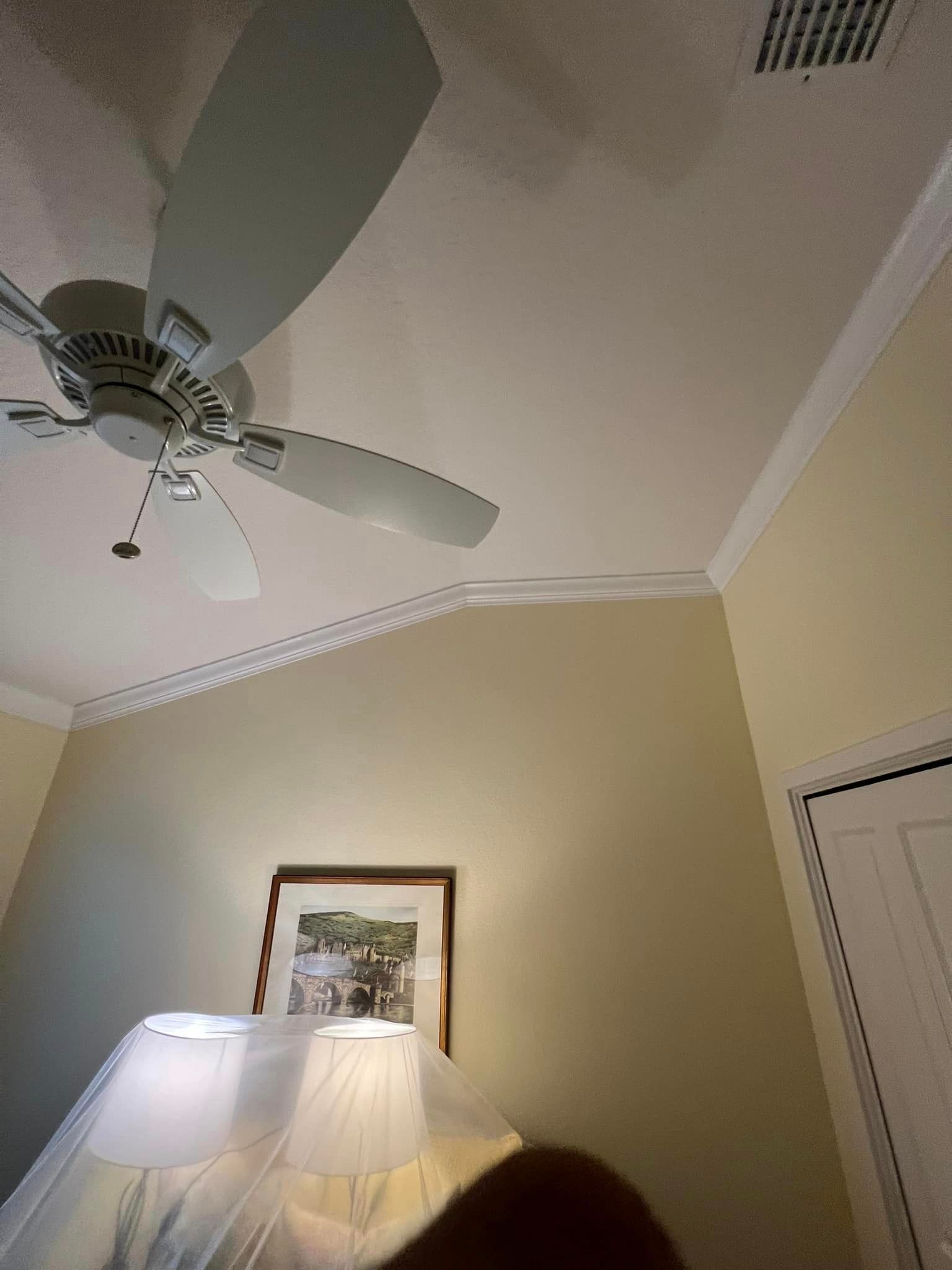 A bedroom with a ceiling fan and two lamps