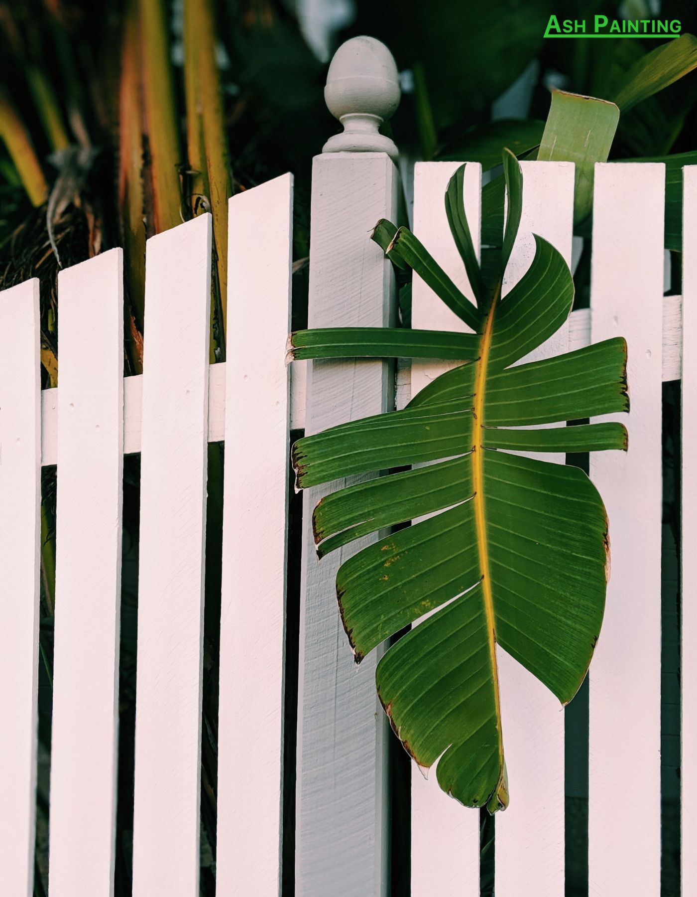 Fence builder in Oregon