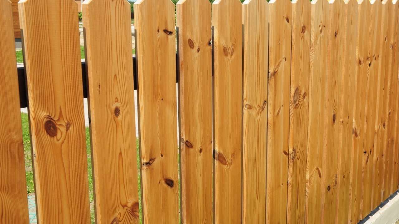 fence painting and staining