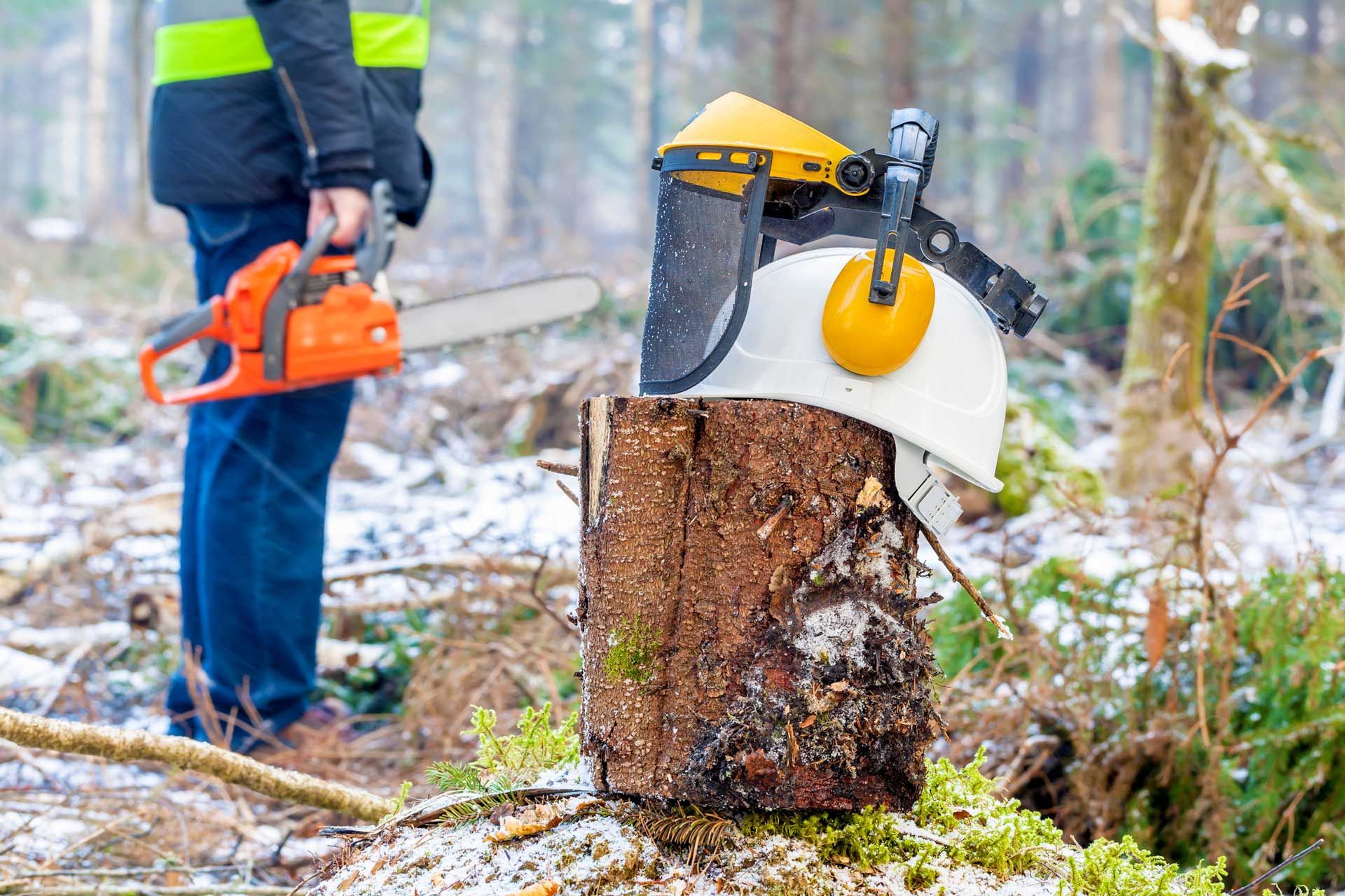 Helmet with Mask and Hearing Protection Earmuffs on the Stump | Wynyard, Tas | Arborimage