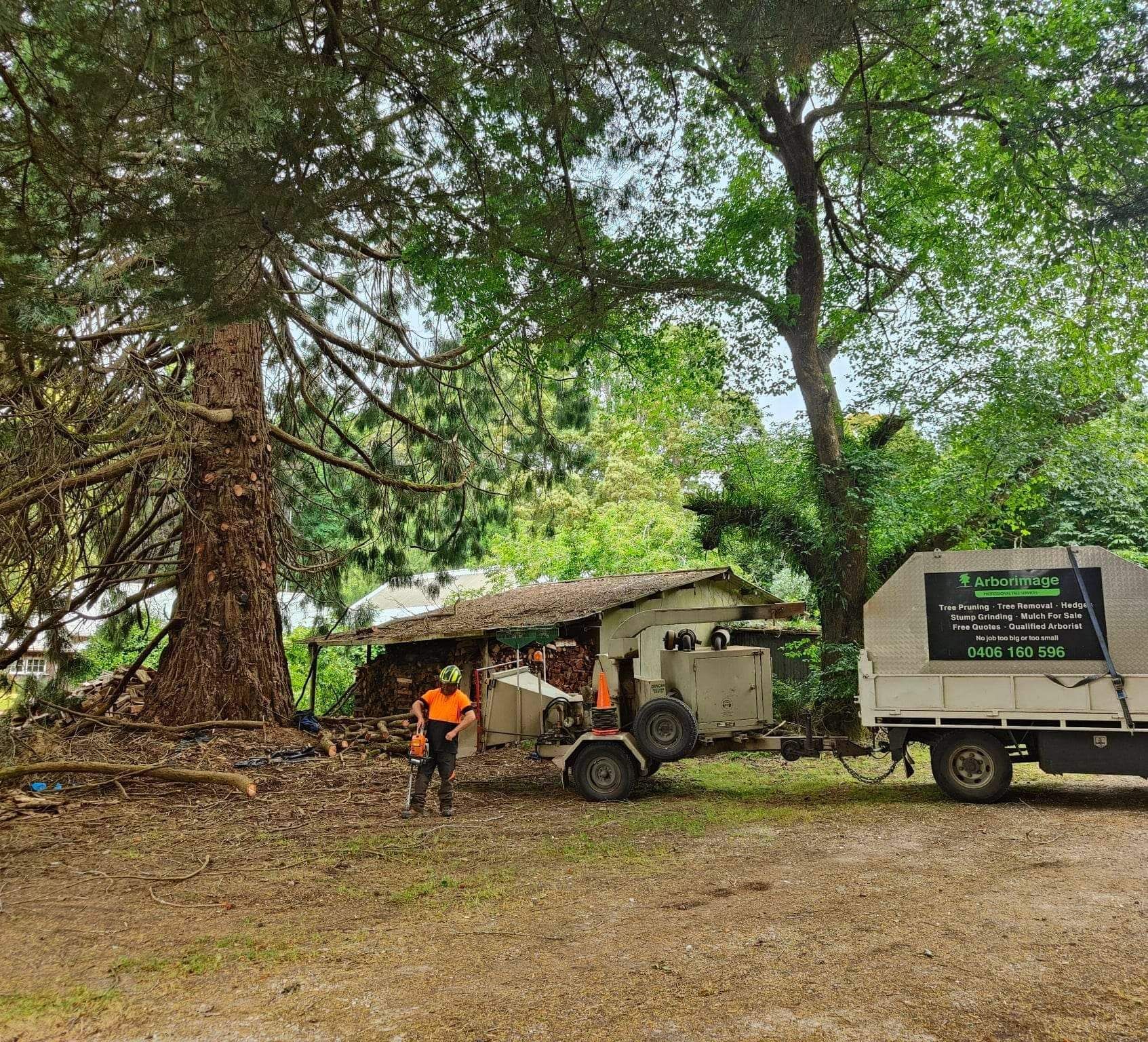 A Group of Men Mulching a Branch of Trees with Heavy Equipment Machine | Wynyard, Tas | Arborimage