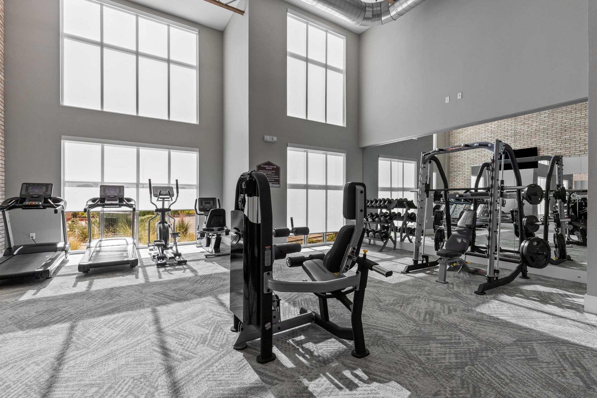 A row of dumbbells are lined up on a rack in a gym