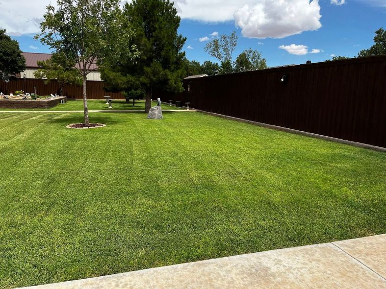 A lush green lawn with a brown fence in the background