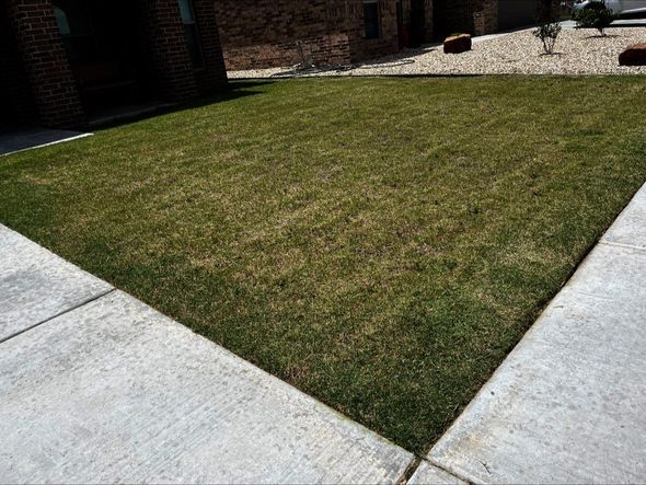 A lush green lawn next to a sidewalk and a brick building.