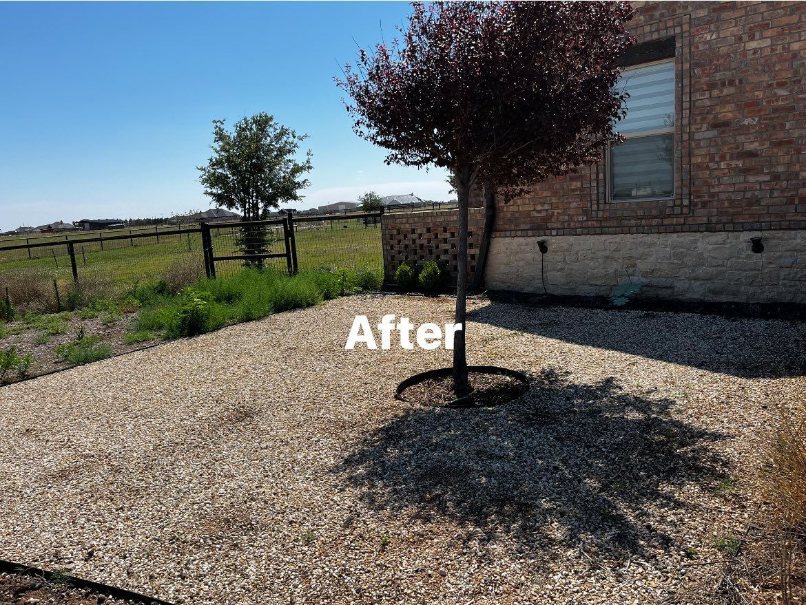 A tree is in the middle of a gravel area in front of a house.