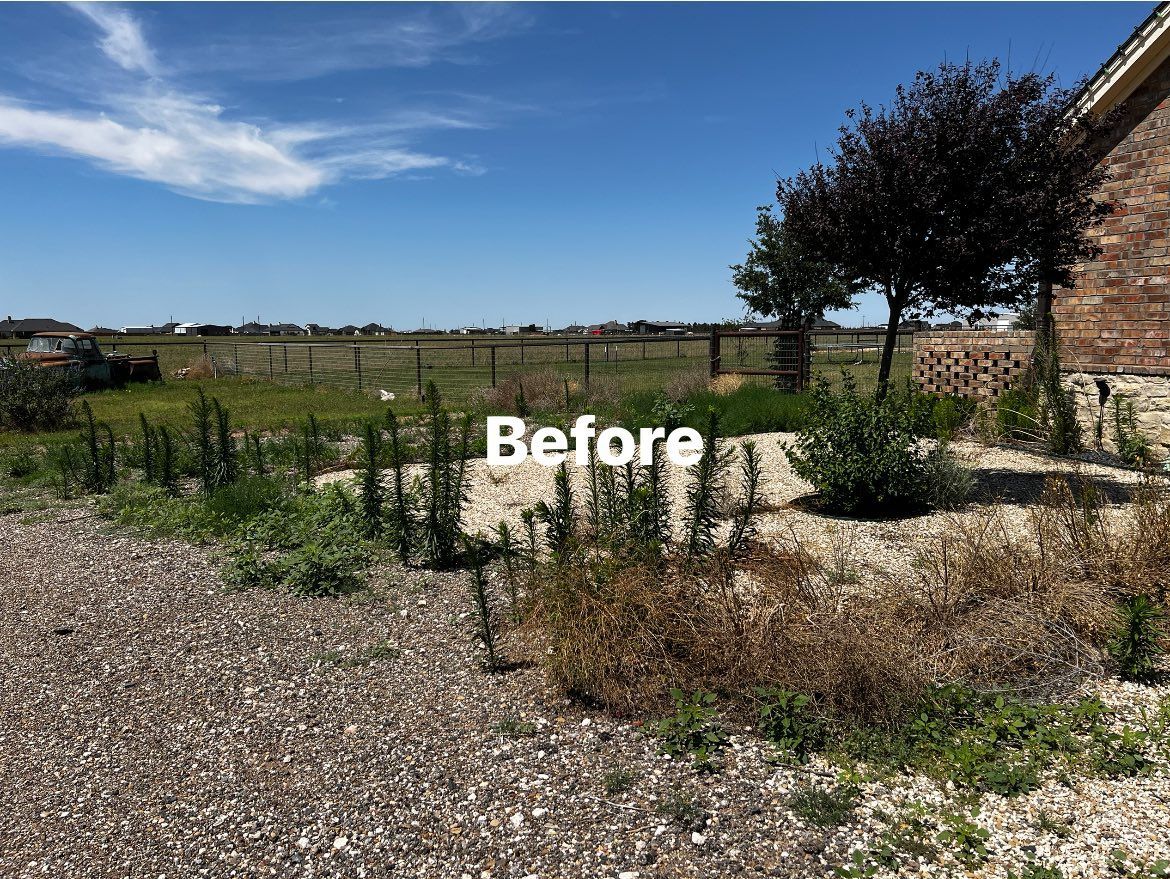 A before picture of a yard with a brick house in the background.