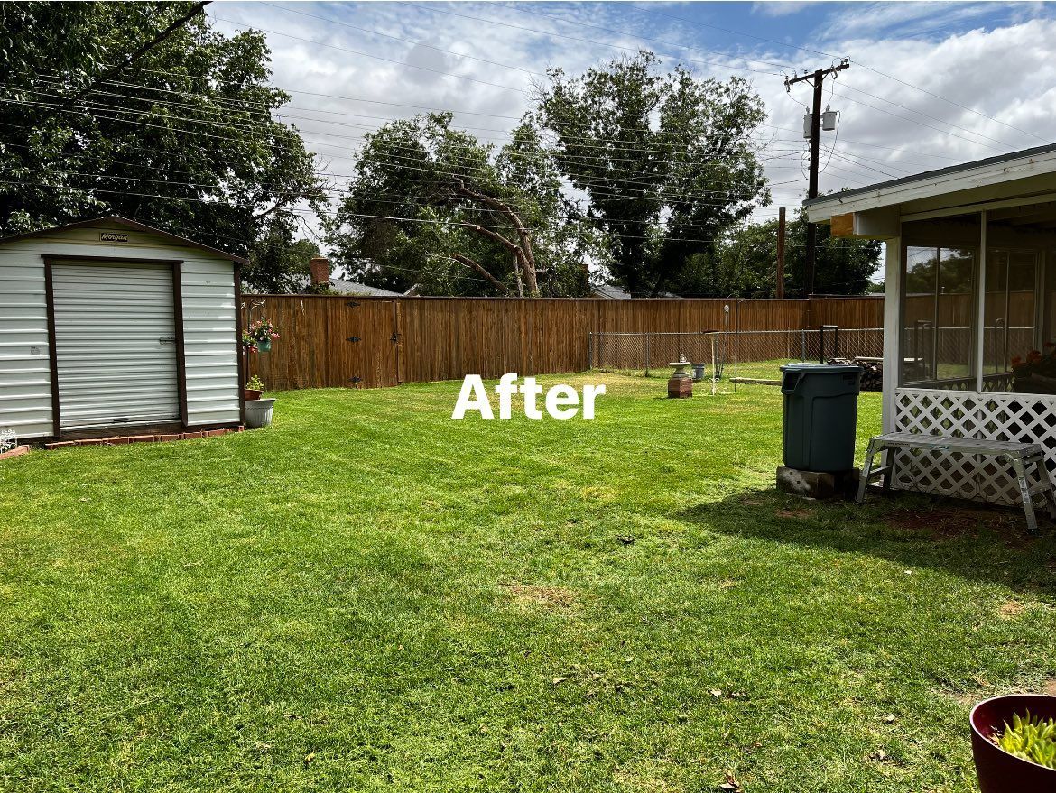 A backyard with a shed and a fence after being mowed.