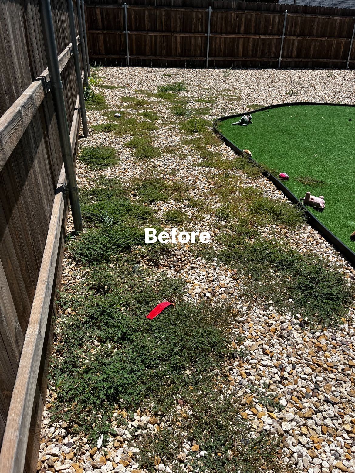 A before picture of a backyard with a fence and grass.
