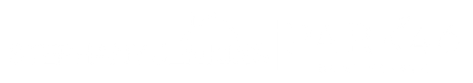 Light Logo