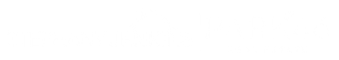 Light Logo