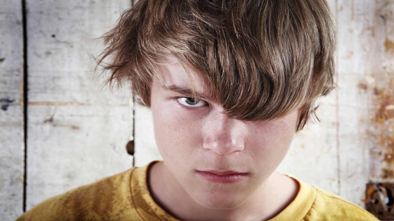 EQ EXPLAINED... The two bullies of anger and fear | EQ4Kids