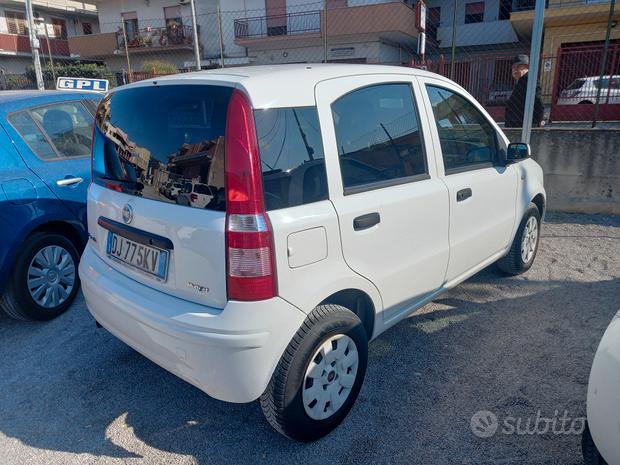 fiat bianca usata in vendita a Palermo
