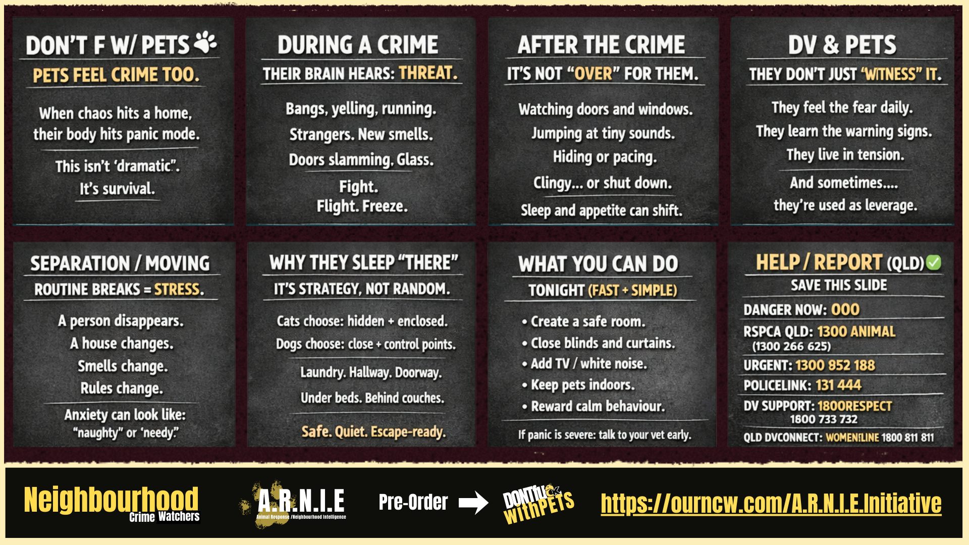Graphic with information about pets during domestic violence and crime, featuring text and logos.