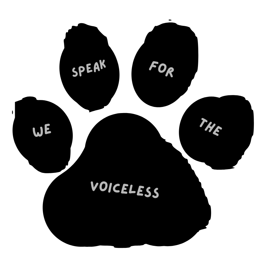 ©️Neighbourhood Crime Watchers - ARNIE Initiative (2025)