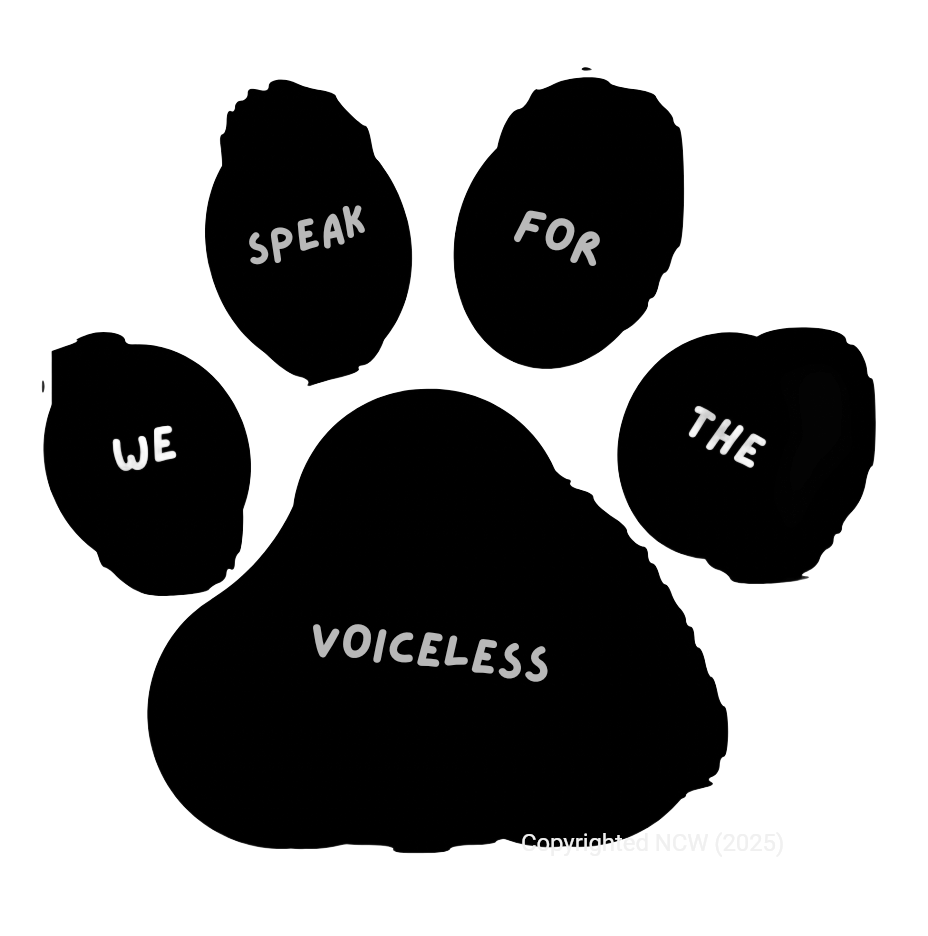 ©️We speak for the voiceless. Copyright 2025