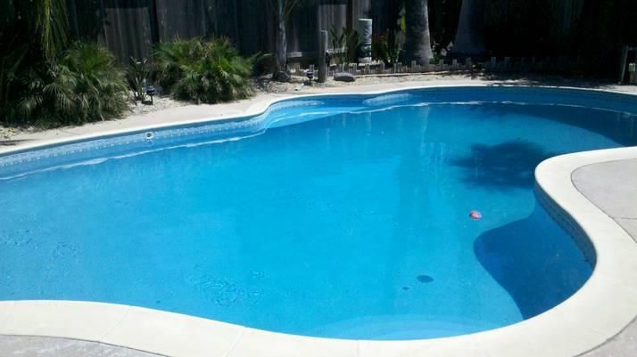 Blue swimming pool with light-colored concrete surround, set outdoors with trees and a fence in the background.