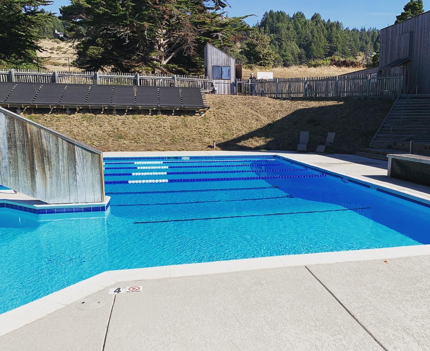 Outdoor swimming pool with blue water. Concrete deck and wooden fence surround. Sunny day.