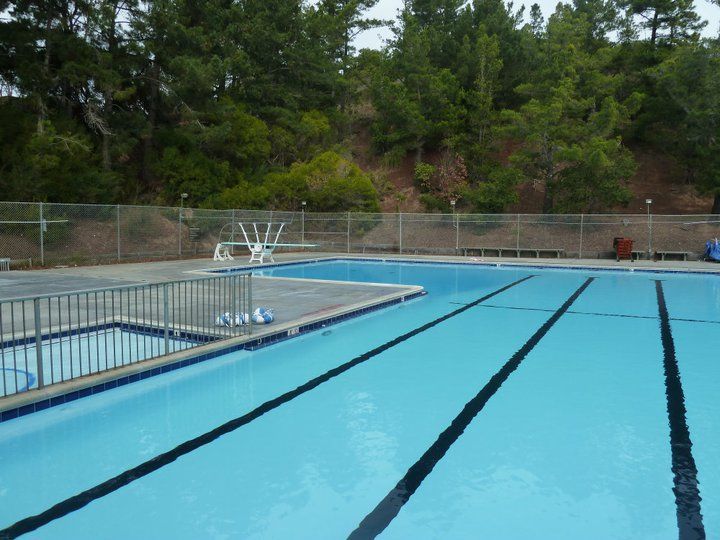 Outdoor swimming pool with blue water and black lane lines. Fenced perimeter, trees in background.
