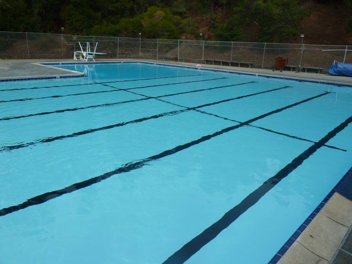 Swimming pool with blue water and black lane lines; diving board and fence in the background.