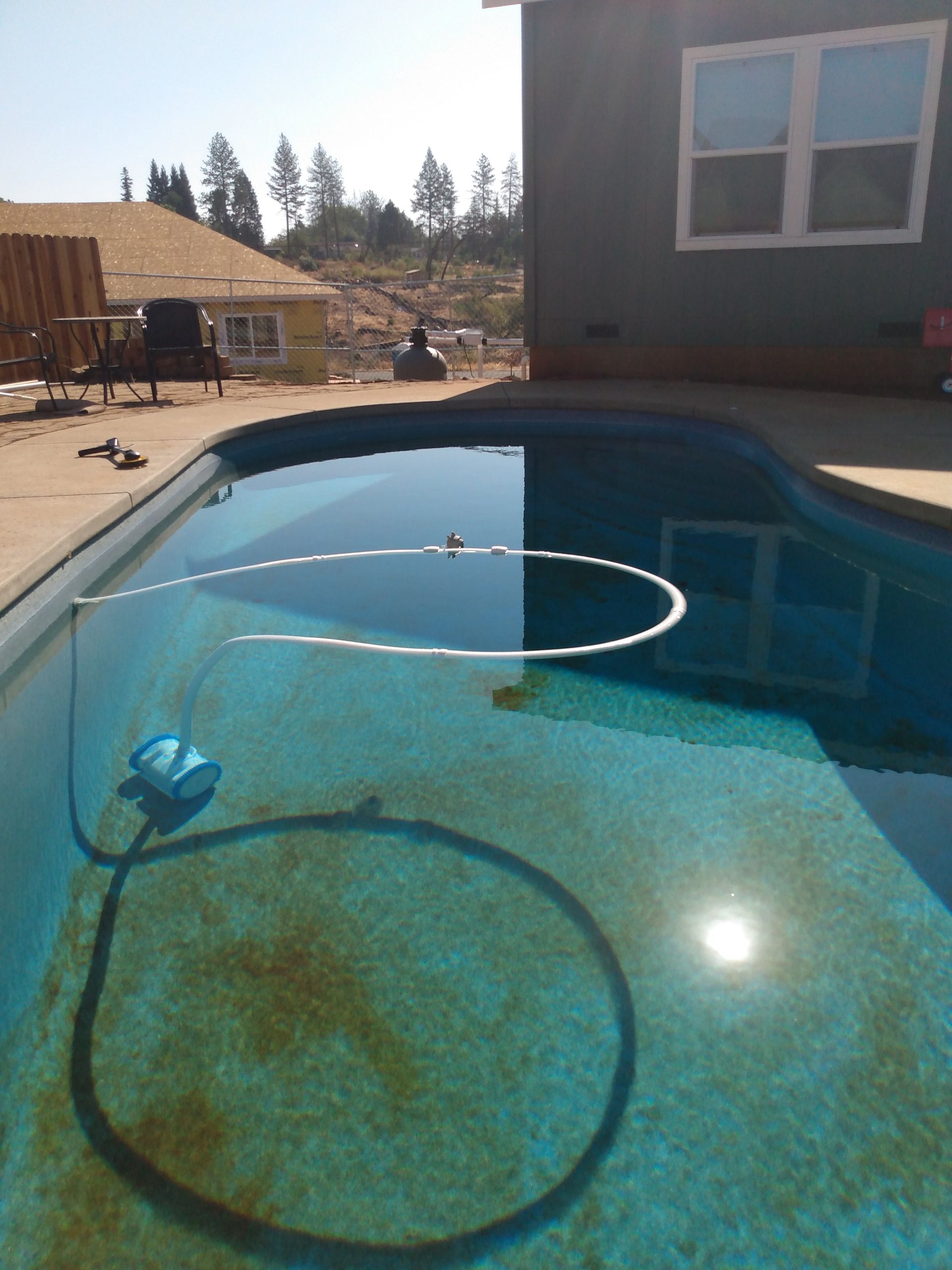 Pool with murky water; cleaner hose in the water; house in background.