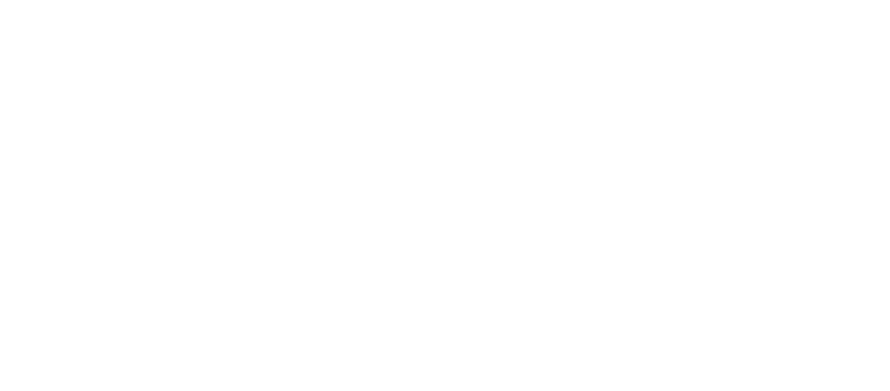 Signed By Engineers Inc. Logo