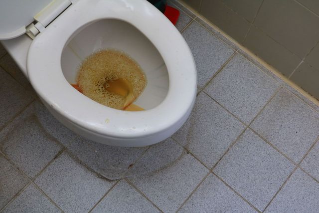 Clogged Toilet Service