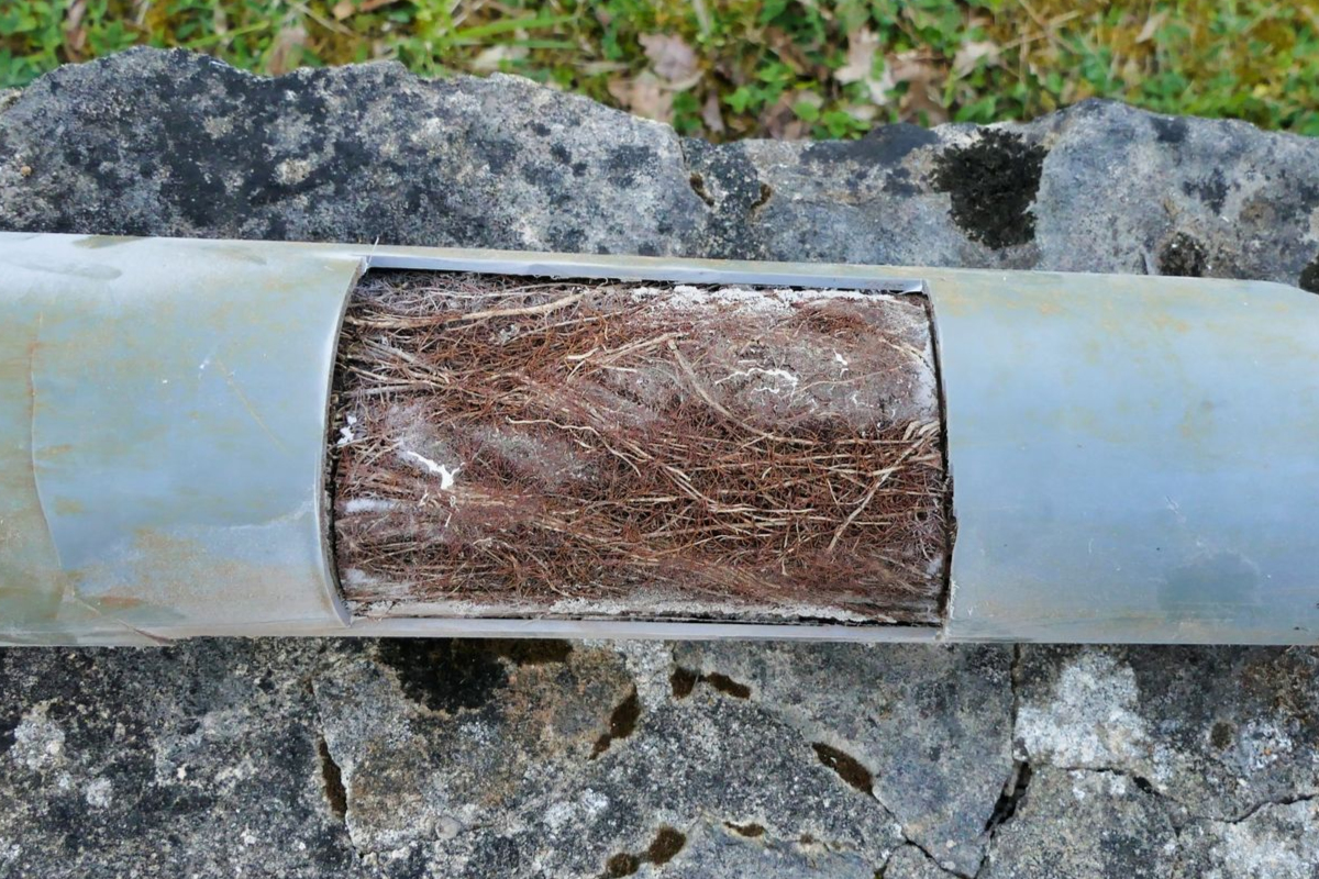 Section of pipe with a wood insert, on a stone surface, with grass in the background.
