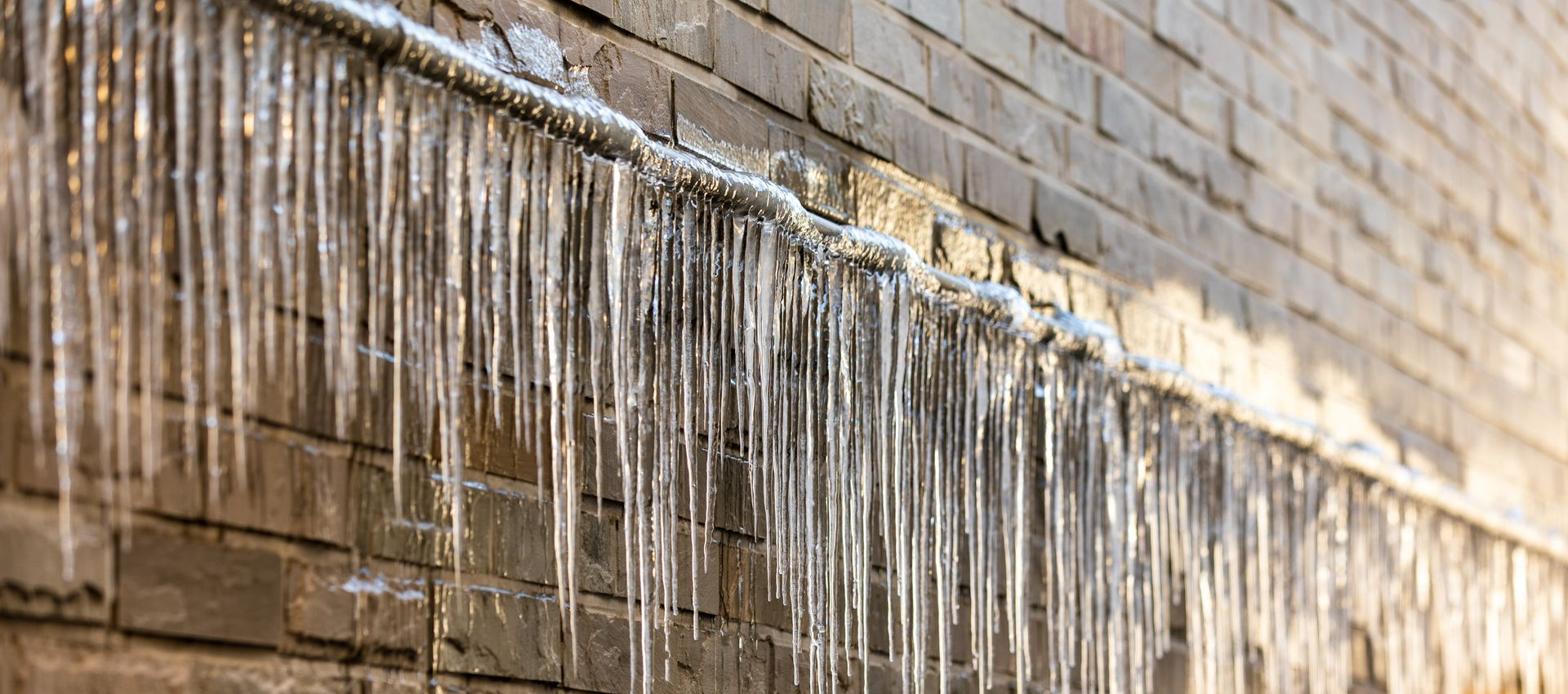 Icicles hanging from a brick wall, reflecting sunlight.