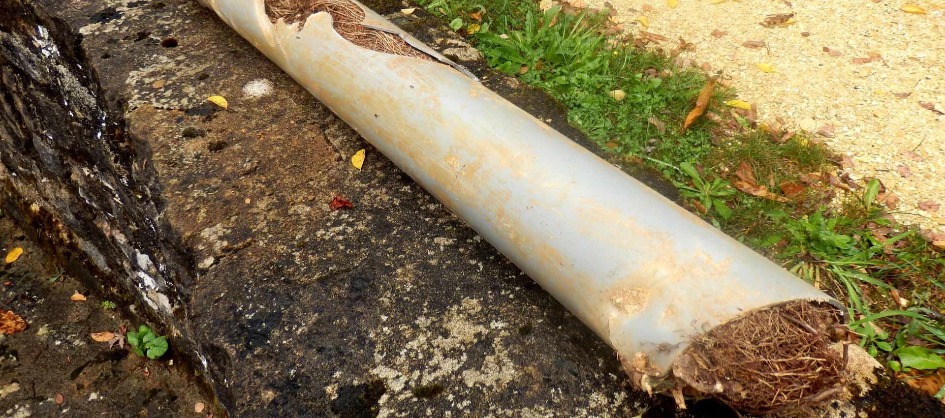 A broken, gray-white pipe with brown, fibrous material lies on a dirty surface next to grass and pavement.