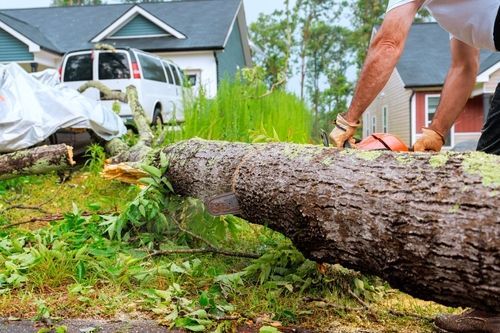 A person uses a chainsaw to cut a large fallen tree trunk in a residential neighborhood with houses and a van nearby.