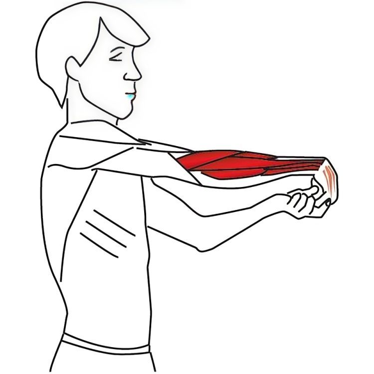 A Drawing of a Man Stretching His Forearm Muscles — Anderson Family Chiropractic Health Centre in Mount Pleasant, QLD